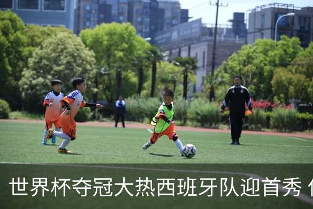 世界杯夺冠大热西班牙队迎首秀 伊朗队入境美国参赛