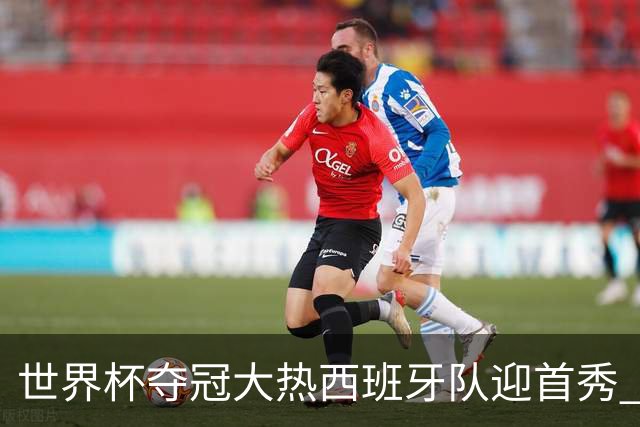 世界杯夺冠大热西班牙队迎首秀 伊朗队入境美国参赛